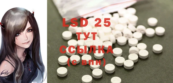 прущие грибы Абаза