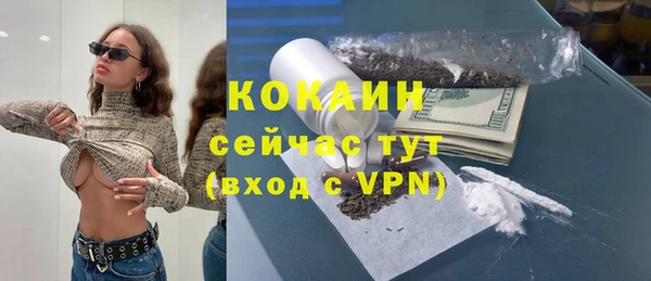 прущие грибы Абаза