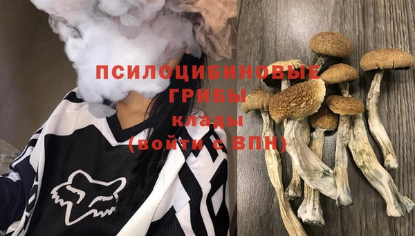 мяу мяу мука Нефтекумск