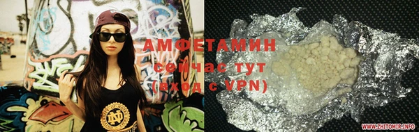 прущие грибы Абаза