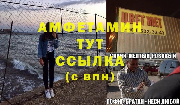 прущие грибы Абаза