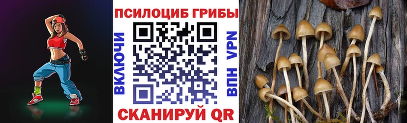 Галлюциногенные грибы Psilocybine cubensis  где можно купить   Ялуторовск 