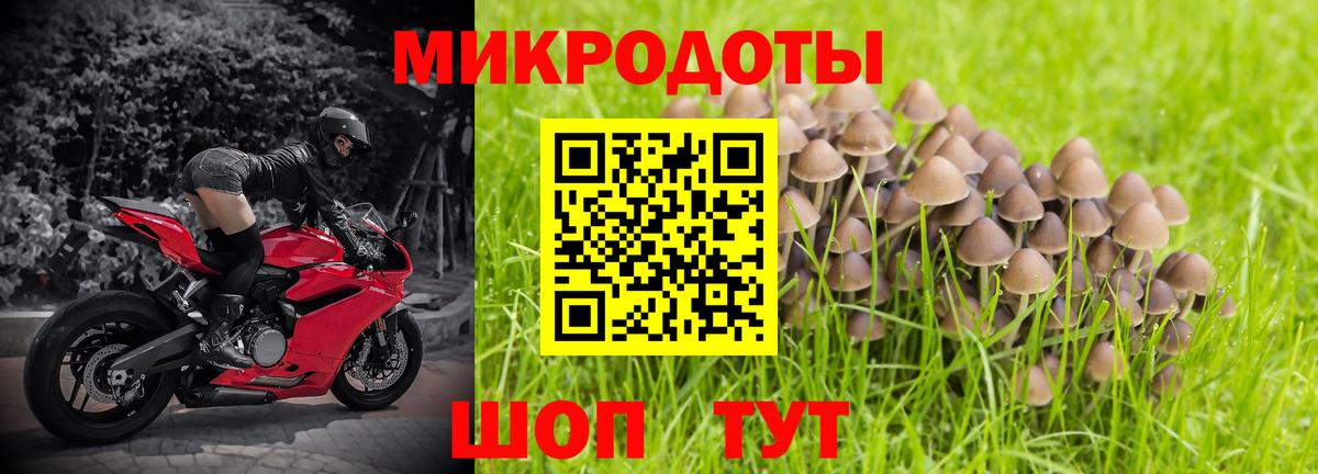 Галлюциногенные грибы Magic Shrooms  Галлюциногенные грибы MAGIC MUSHROOMS  Ялуторовск  Вход с VPN 